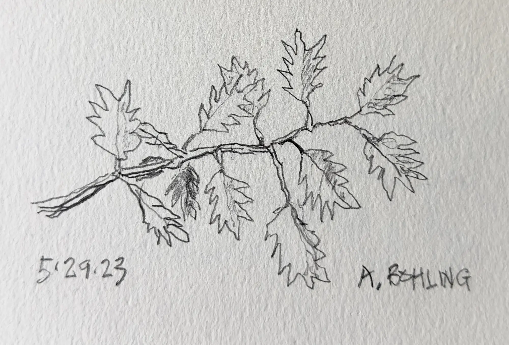 06