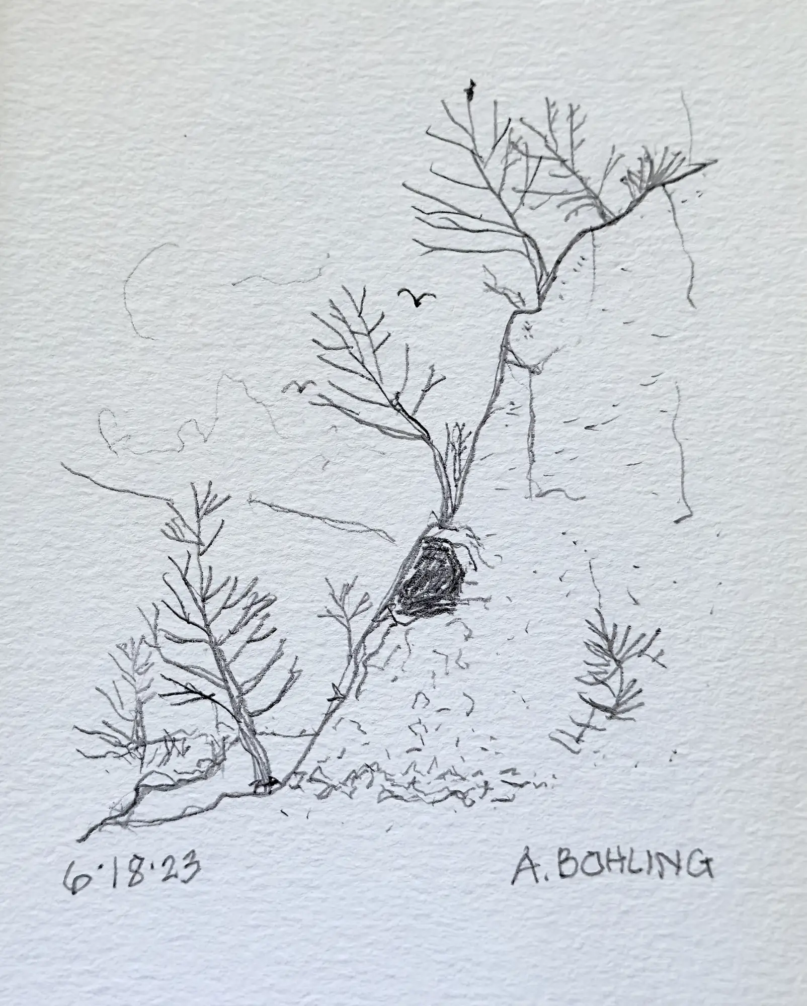 26