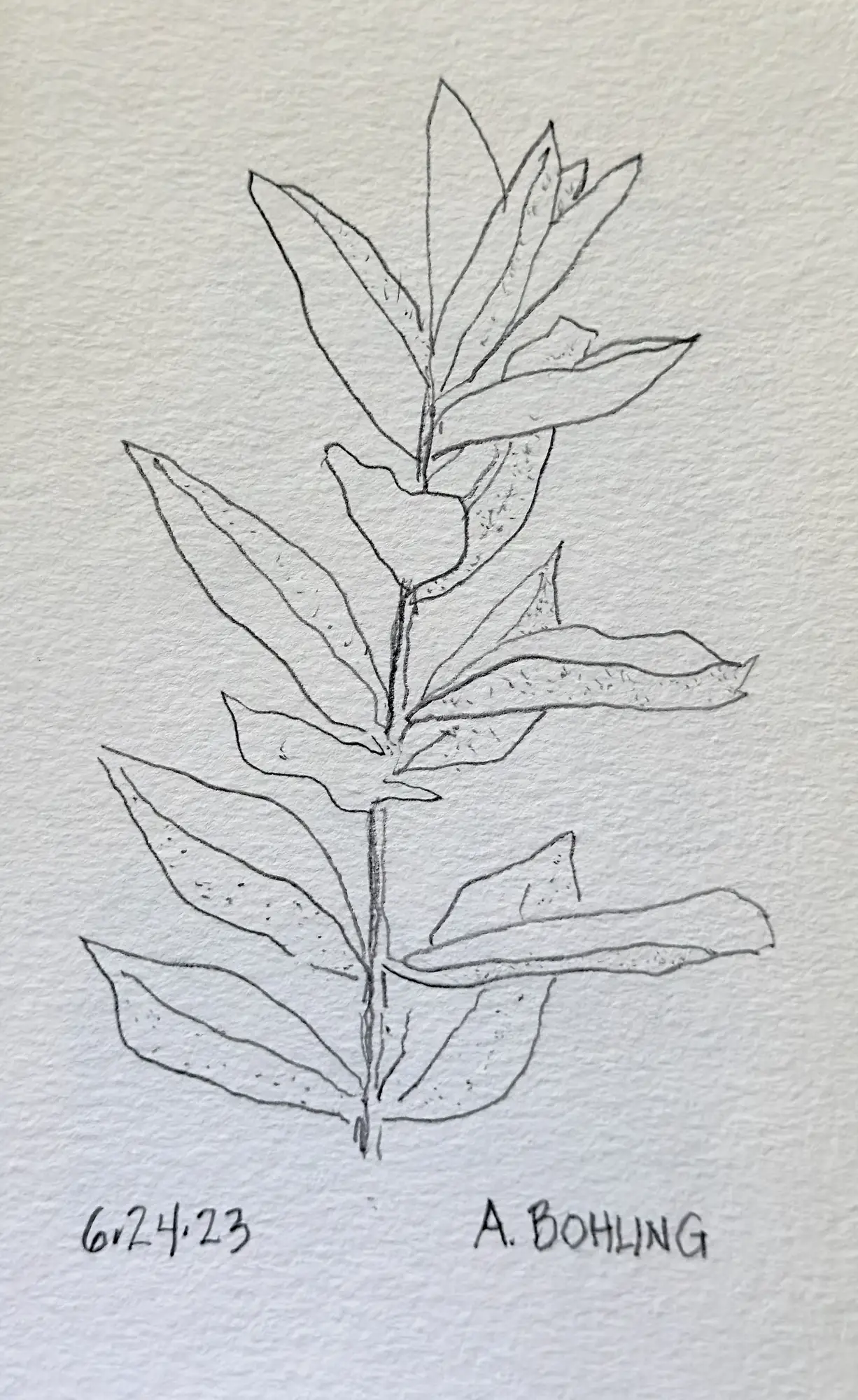 28
