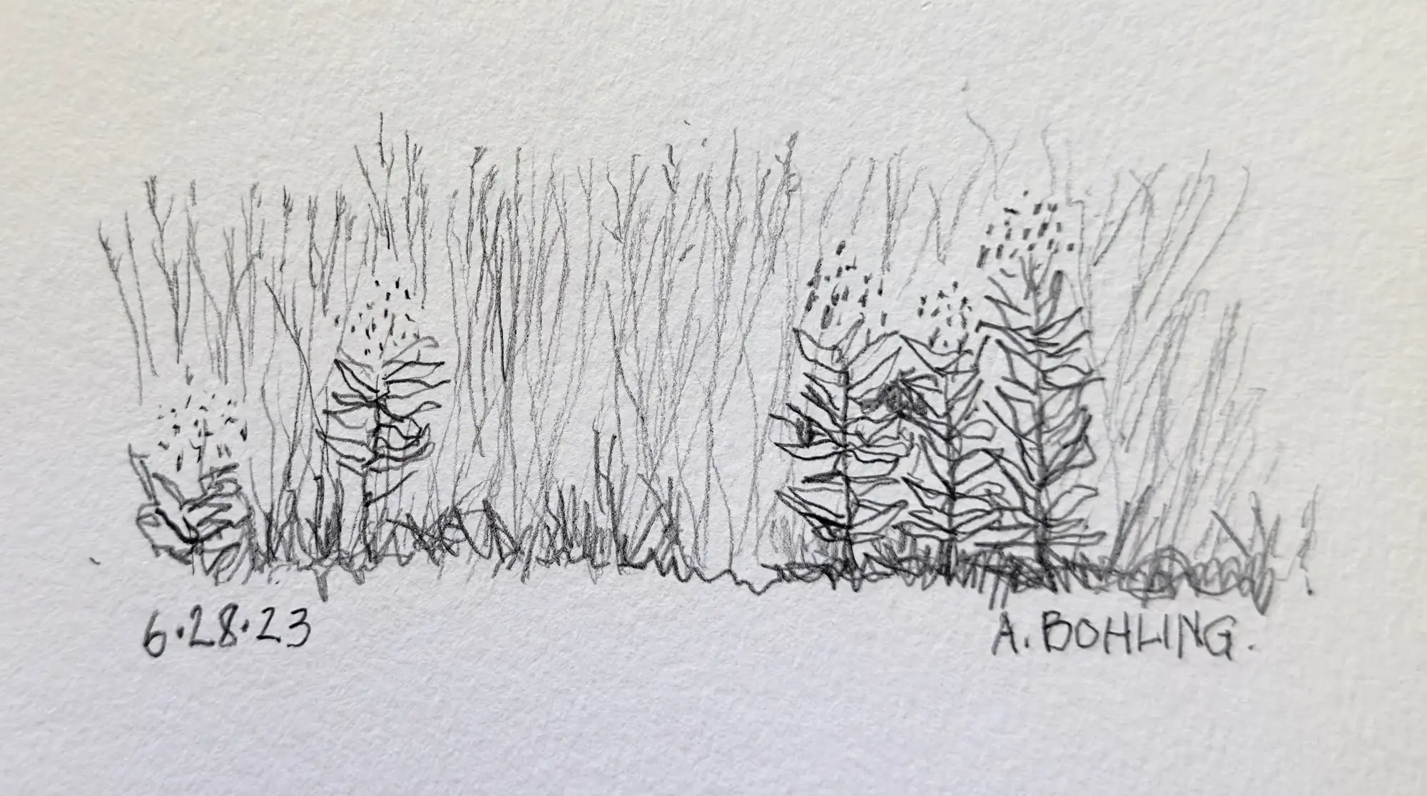32