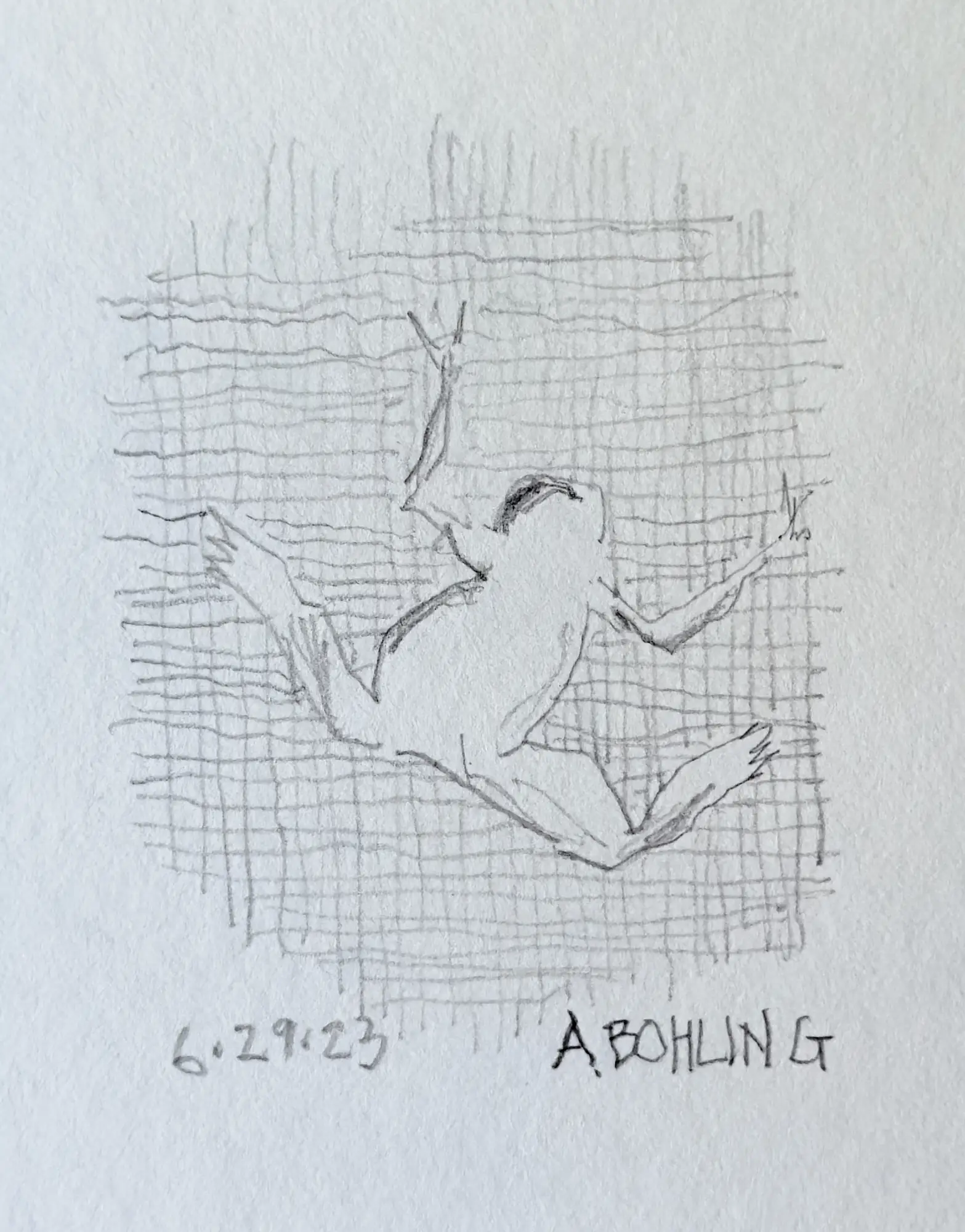 33