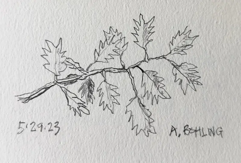 06