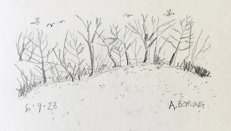 17