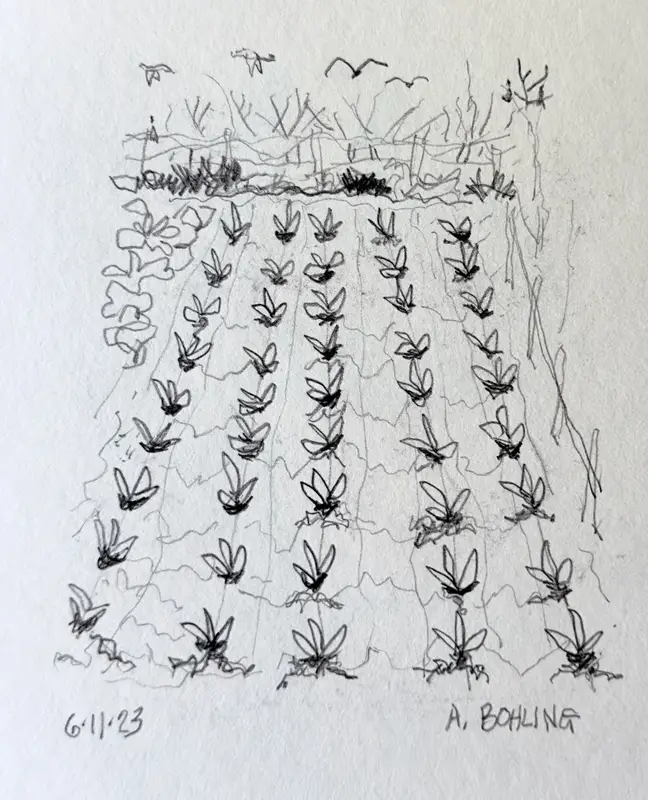 19