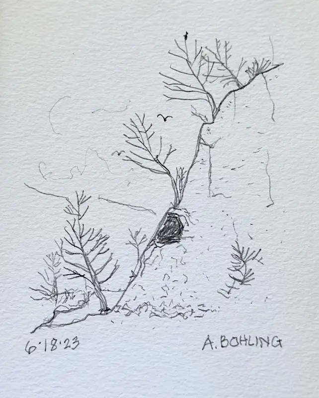 26