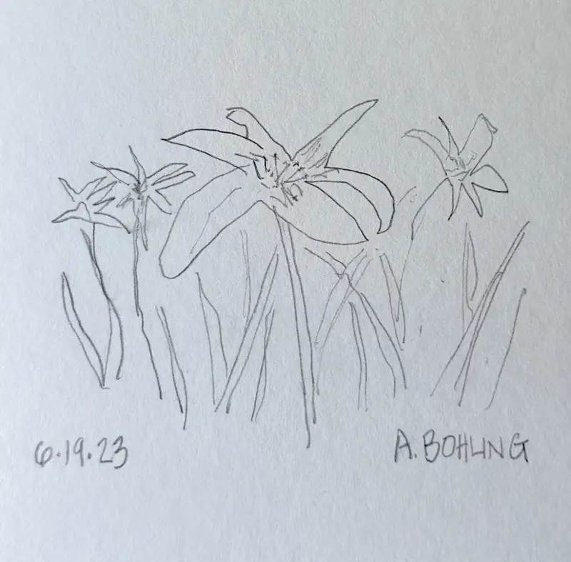 27