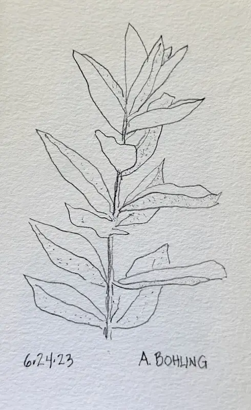 28