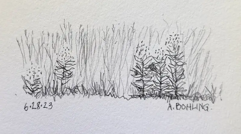 32