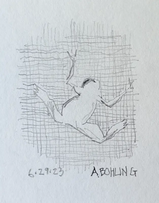 33