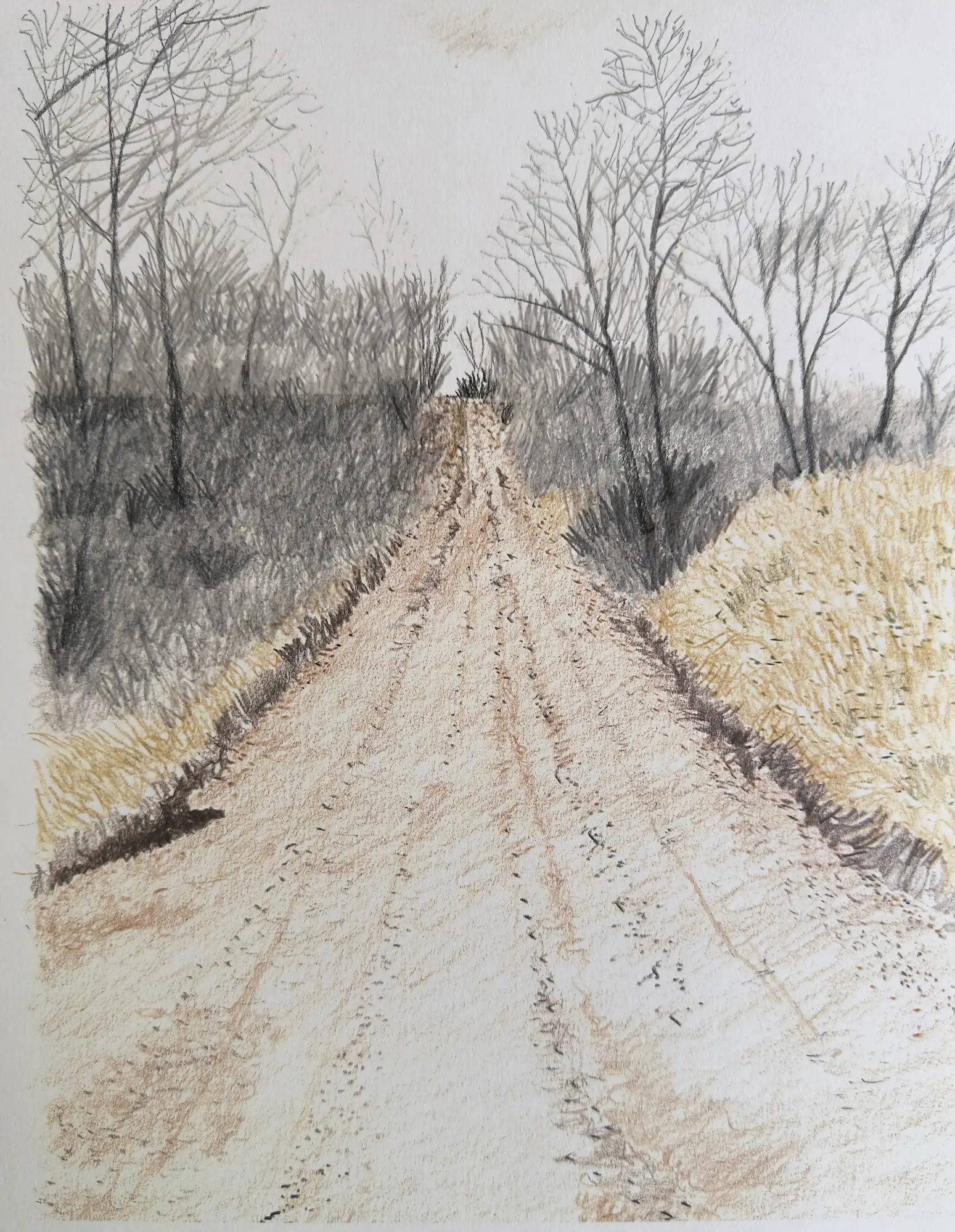 Unsaved Road, Louisa County