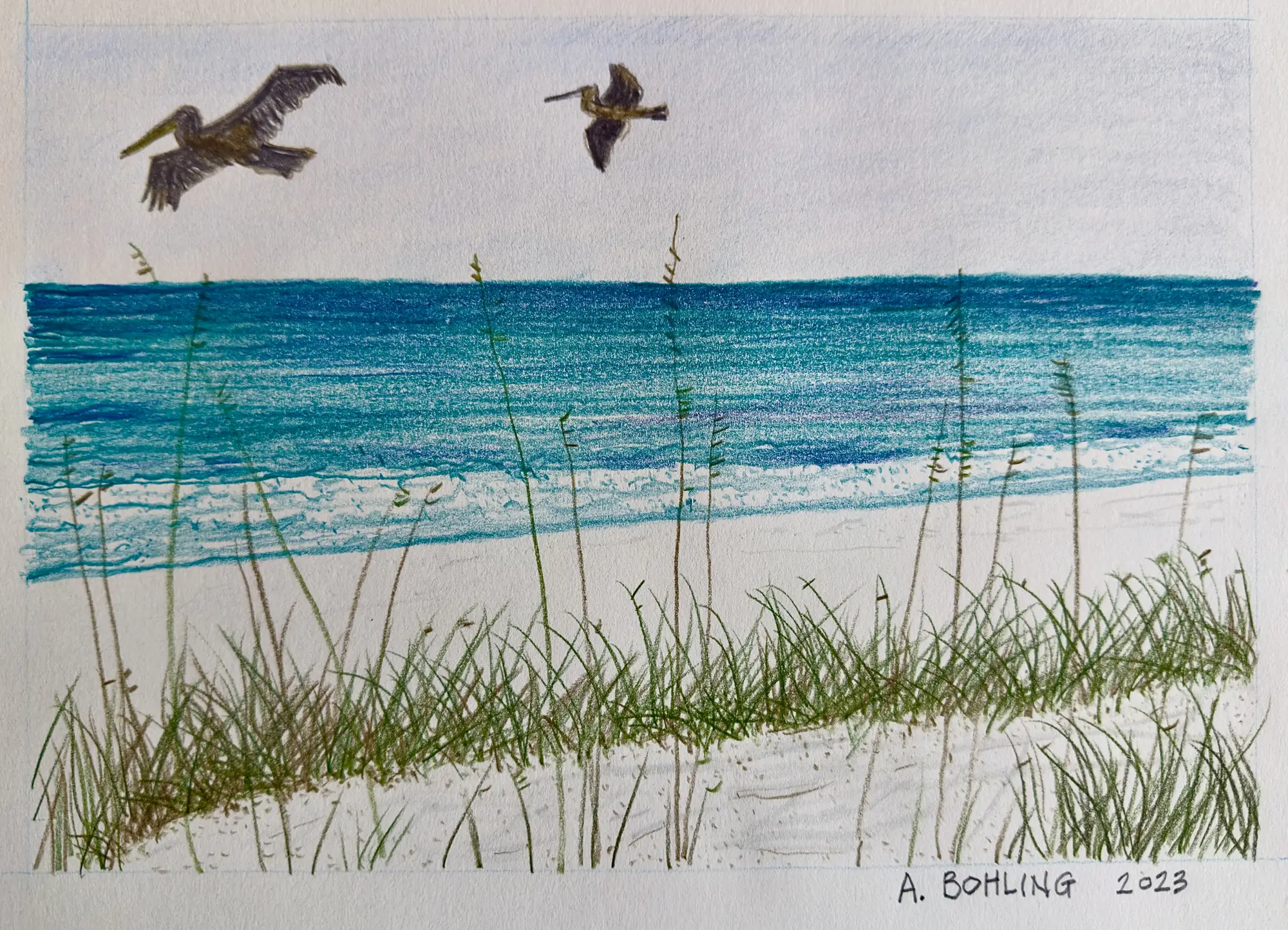 Gulf of Mexico  Destin, Florida    2023