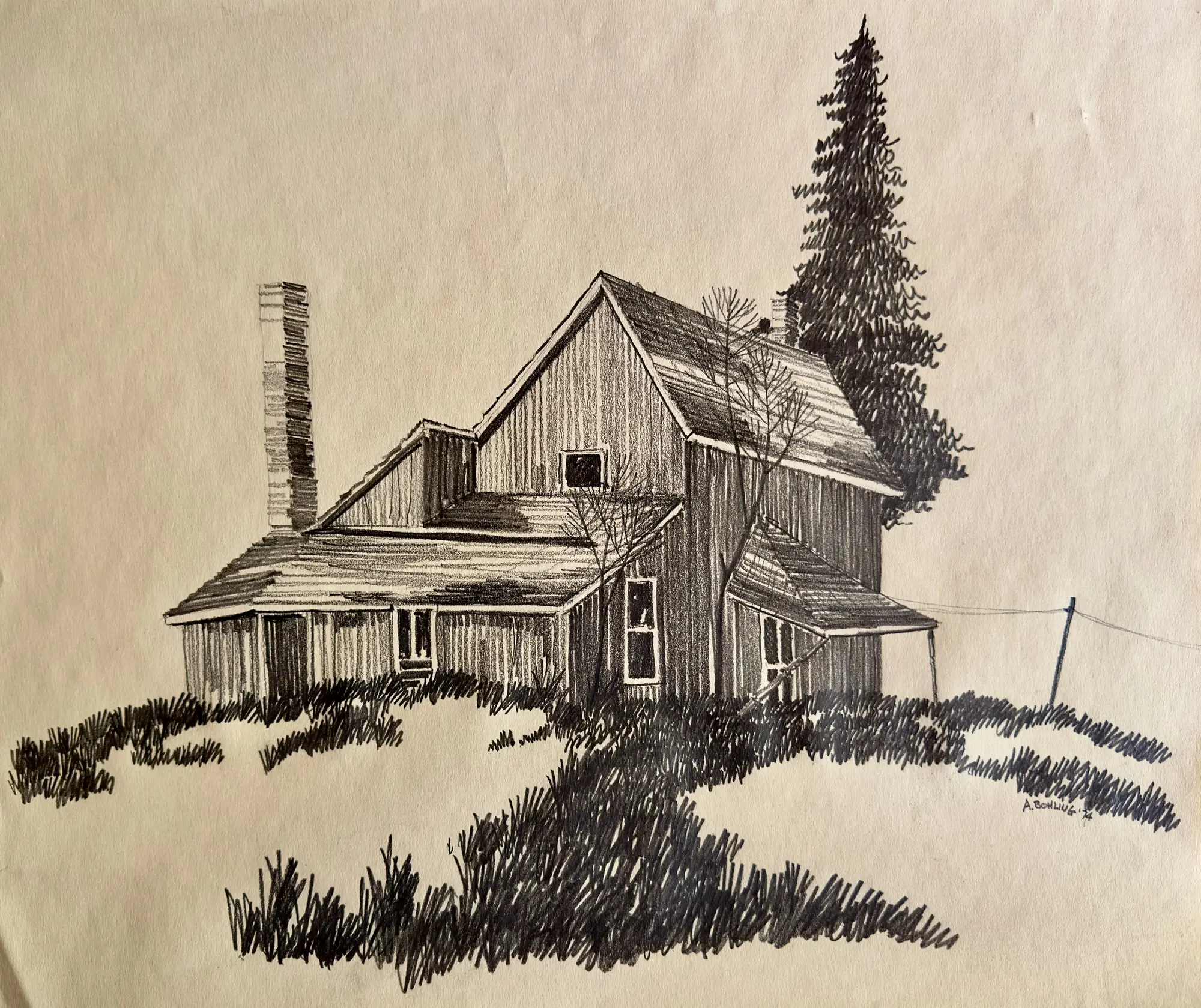 Abandoned Homestead Study 1     1974