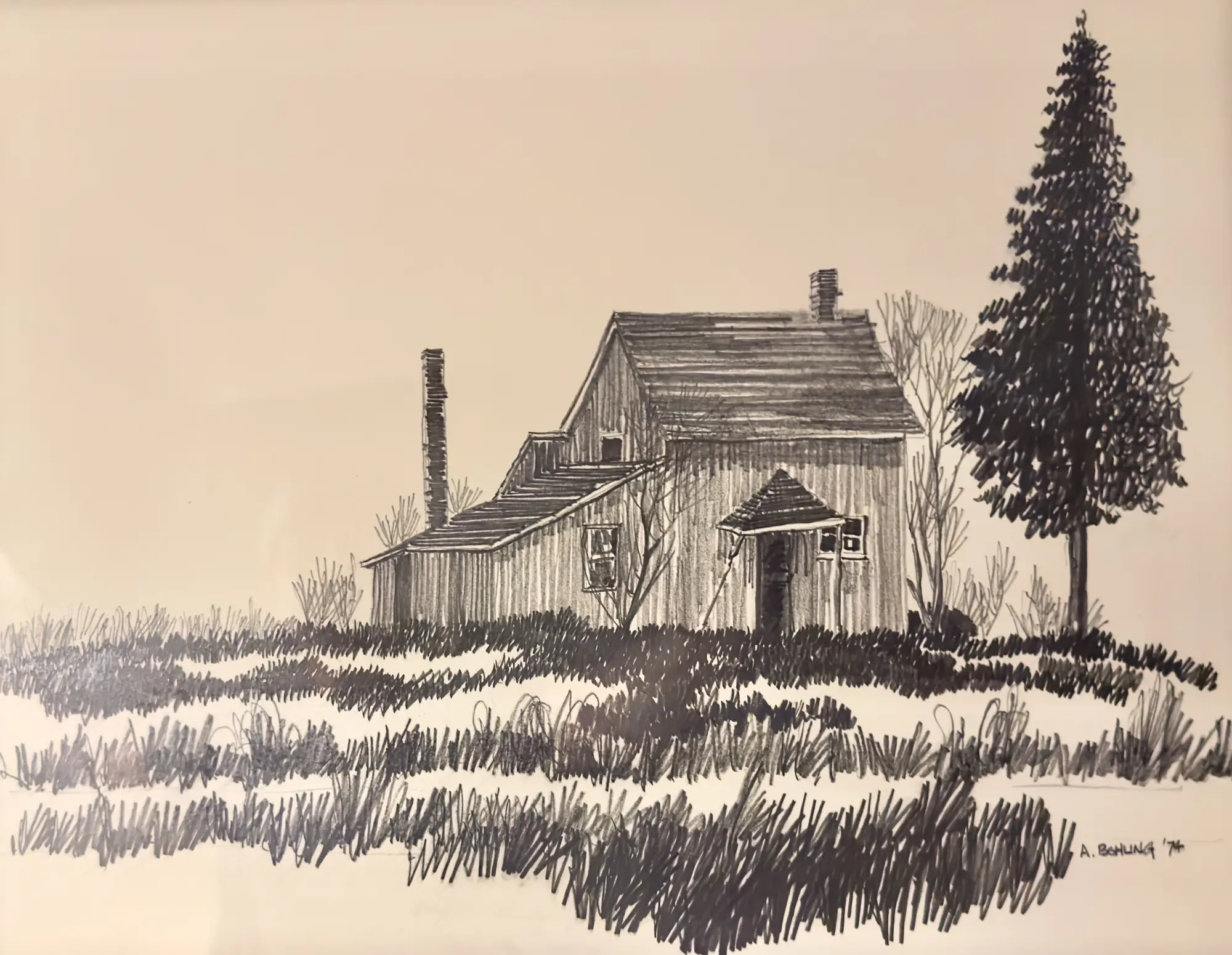 Abandoned Homestead Study 4    1974