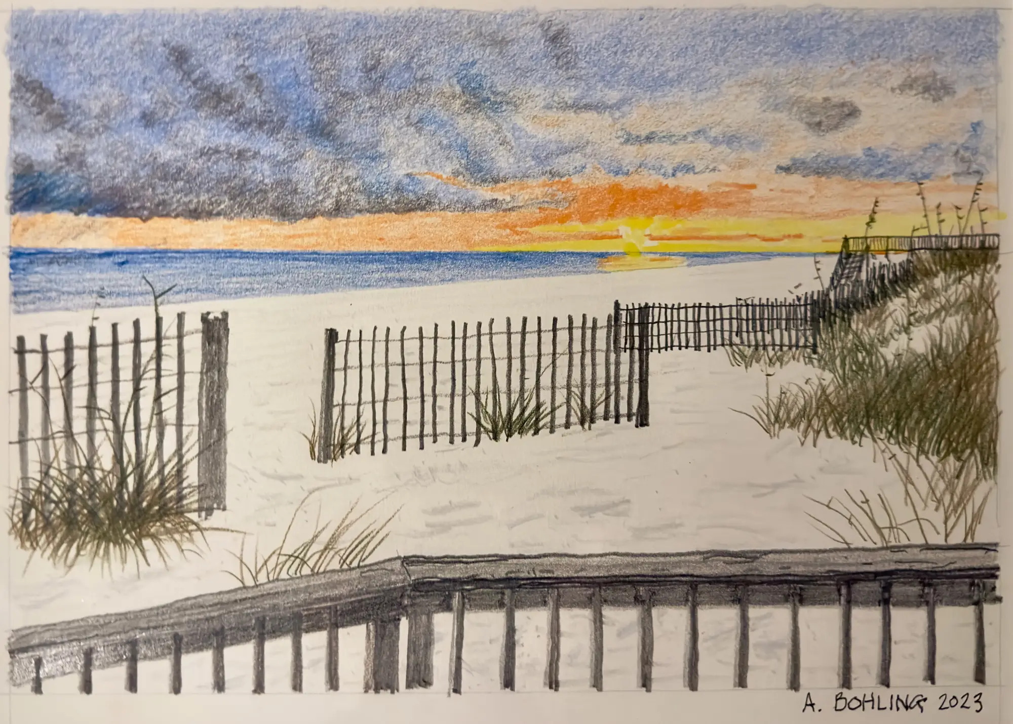 Sea Oats Restoration Project Destin, Florida    2023