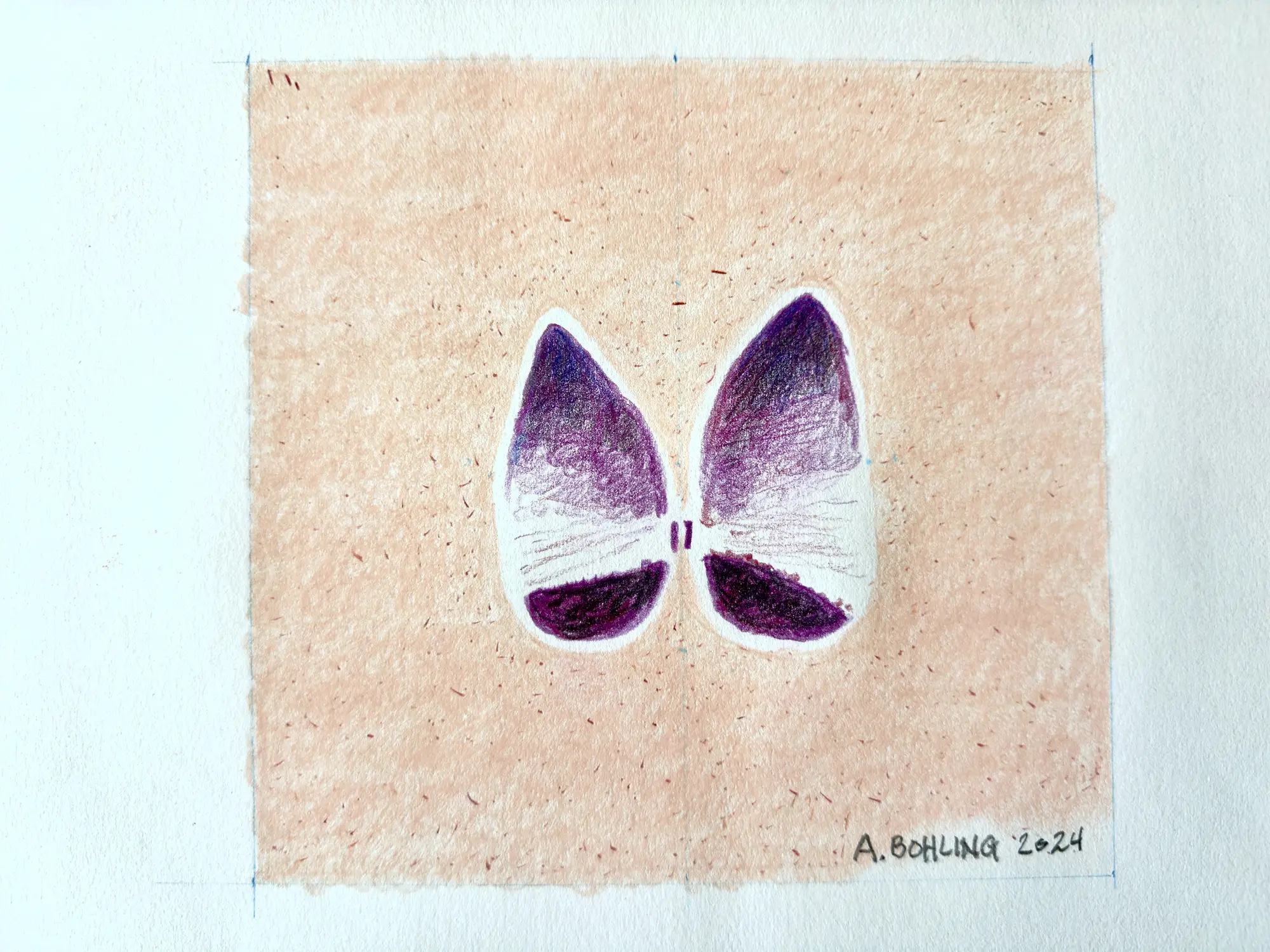 Sea Shell