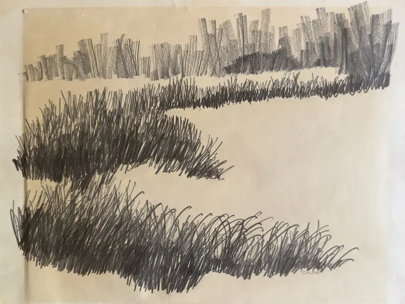 Grass Study    1973