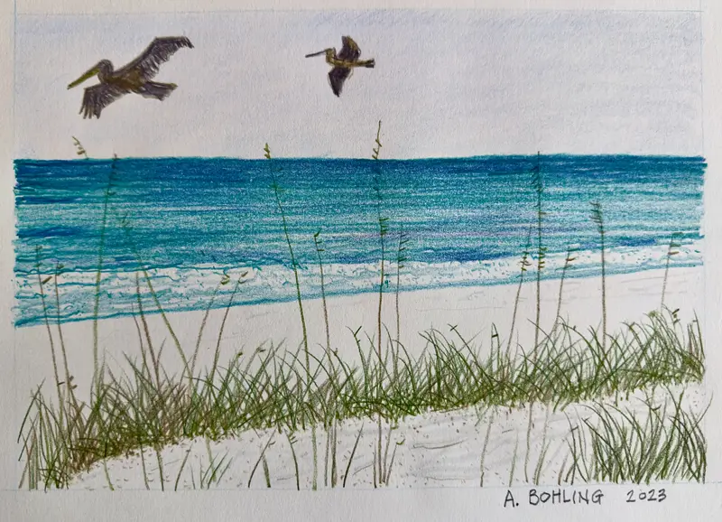 Gulf of Mexico  Destin, Florida    2023