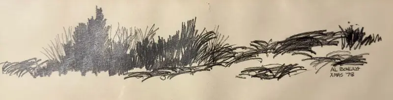 Grass Study    1973
